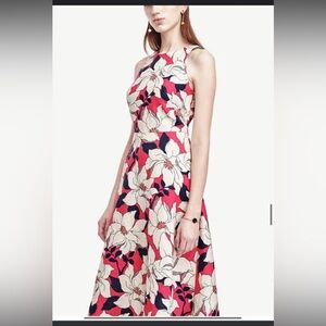 Ann Taylor | Dresses | 59 Ann Taylor Hibiscus Print Midi Fit Flare Perfect Wedding Guest Dress 2p | Poshmark Ann Taylor | Dresses | 59 Ann Taylor Hibiscus Print Midi Fit Flare Perfect Wedding Guest Dress 2p | Poshmark